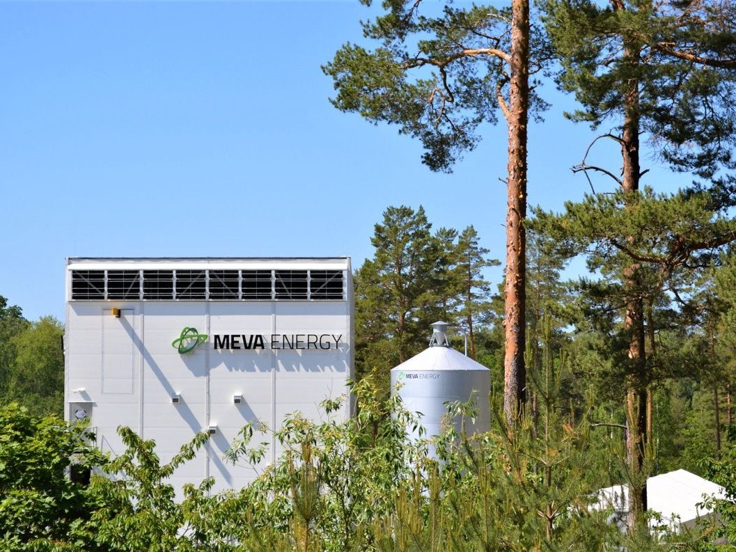 2jcp_meva_meva-in-forest-large-652913f025752.jpg