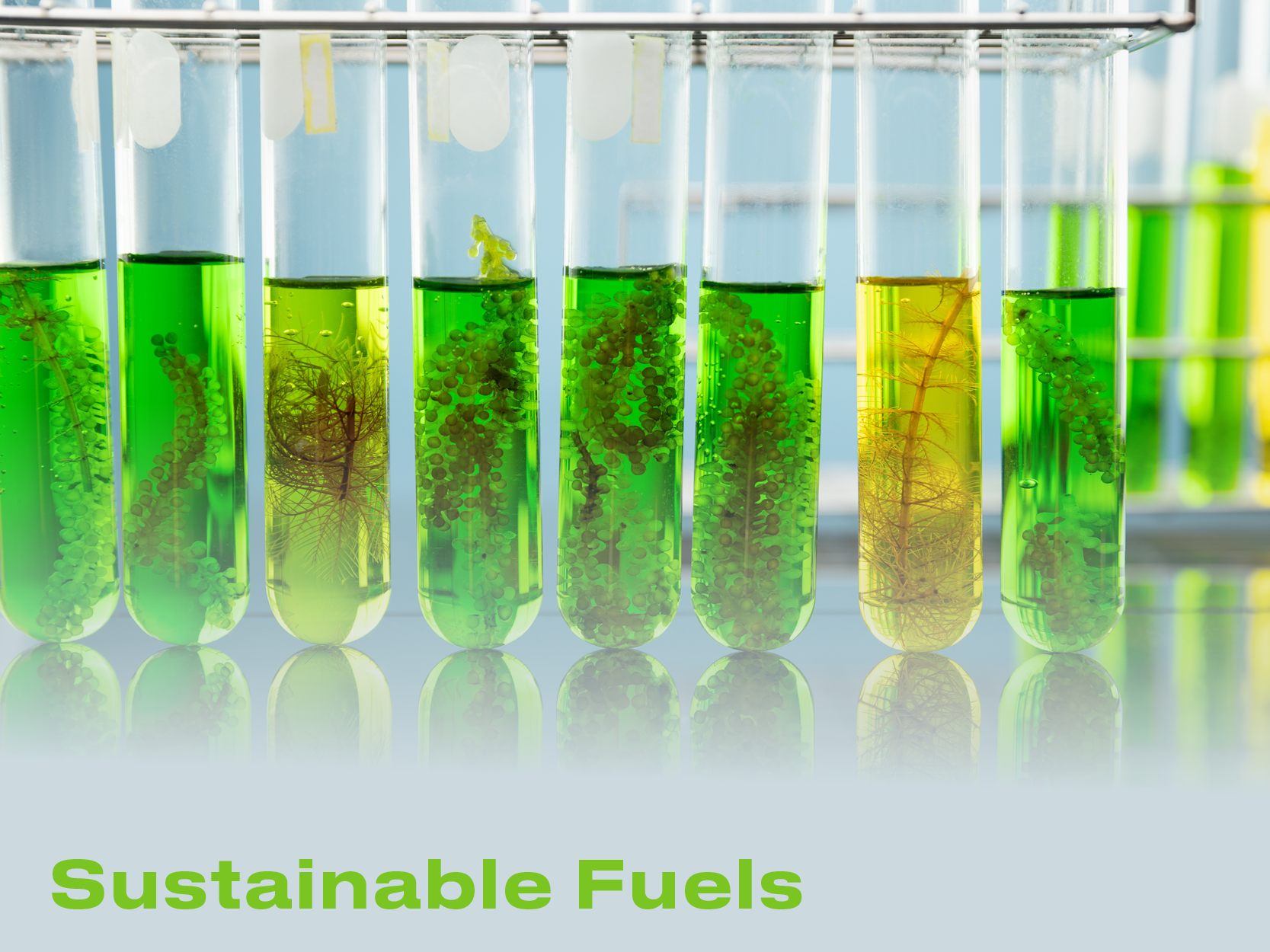 sustainable-fuels.png